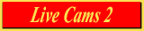 Live sex, fetish, BDSM, fetish cams, gay cams, Live Cams